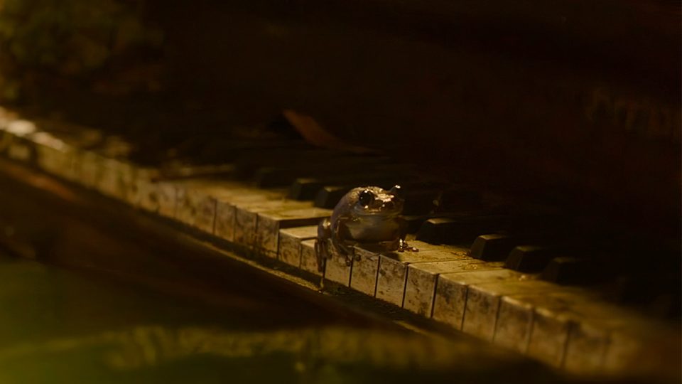 Лягушка из 2 серии сериала «Одни из нас»